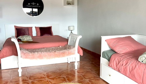 Comfort Quadruple Room, Poolside