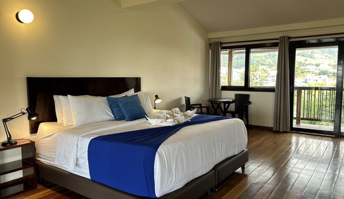 Deluxe Apartment, 1 King Bed, City View