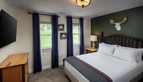 Suite, 1 Queen Bed with Sofa bed