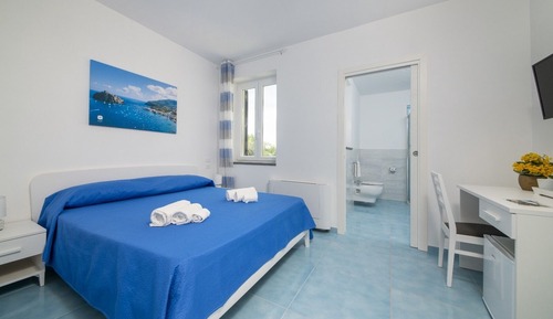 Basic Double or Twin Room