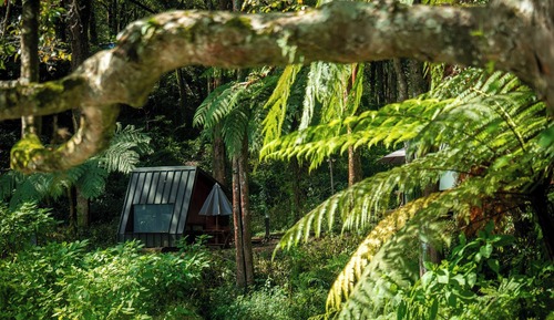 Standard Cabin, Shared Bathroom