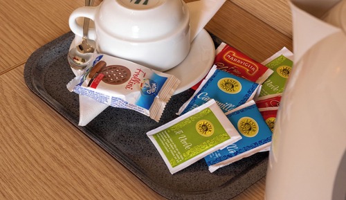 Basic Room, 1 Large Twin Bed