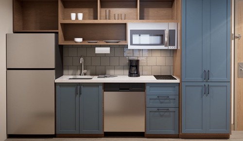 Studio Suite, 1 King Bed, Roll-in Shower (Communications)