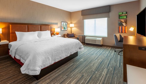 Room, 1 King Bed, Accessible, Bathtub (Mobility & Hearing)