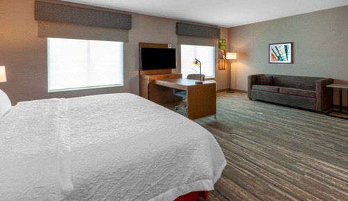 Suite, 1 King Bed, Accessible (Roll-In Shower)