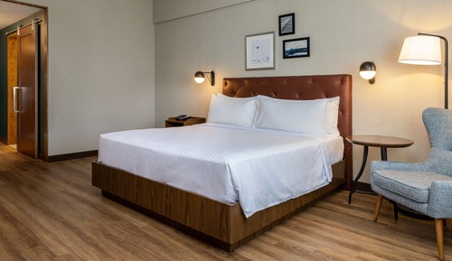 Studio, 1 King Bed