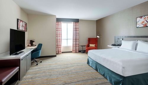 Room, 1 King Bed, Accessible, Bathtub