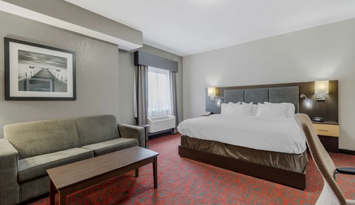 Standard Room, 1 King Bed, Non Smoking (with Sofabed)