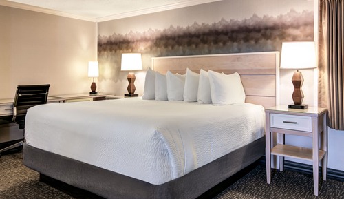 Pet Friendly Standard King Room