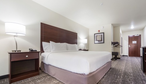 Studio Suite, 1 King Bed with Sofa bed, Non Smoking