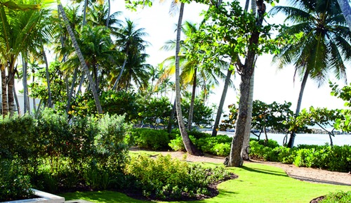 Room, 1 King Bed with Sofa bed, Beachfront (Mobility/Hearing Access, Roll-In Shwr)