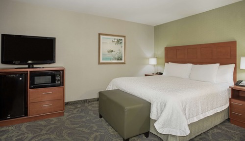 One King Bed (No water view)