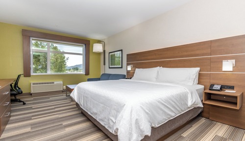 Suite, 1 King Bed with Sofa bed
