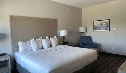 Standard Room, 1 King Bed, Non Smoking, Refrigerator & Microwave