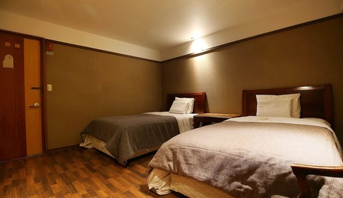 Room (Deluxe twin (air conditioner replaced)