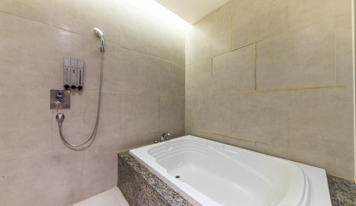 Room (Premium (Netflix Available / Couple B)