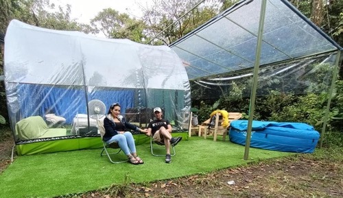 Family Room, Mountain View