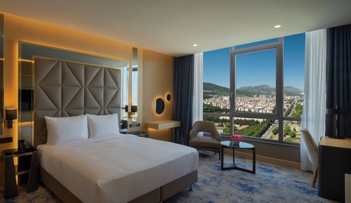 Standard Double Room, 1 King Bed