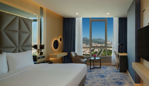 Standard Double Room, 1 King Bed