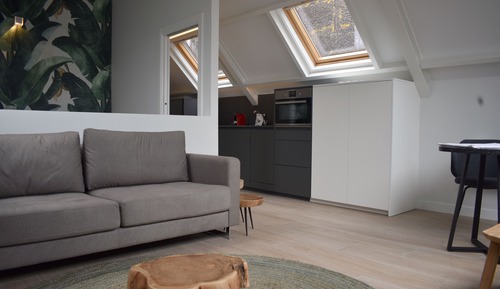 Penthouse, 1 Queen Bed, Kitchen, Sea View