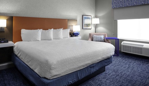 Room, 1 King Bed, Refrigerator & Microwave