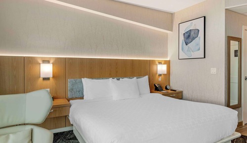 Standard Room, 1 King Bed, Non Smoking, City View