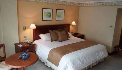 Superior Single Room