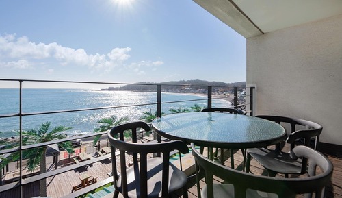 Basic Room, 1 Bedroom (PensionRoom1001(with pet))