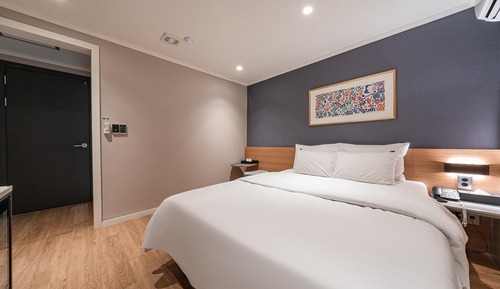 Room (Standard B (Netflix Disney Plus avail)