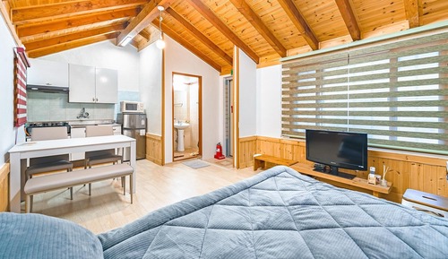 Basic Room, 1 Bedroom (101(PET))