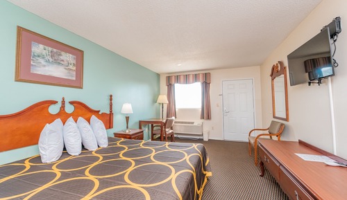 Standard Single Room, 1 King Bed