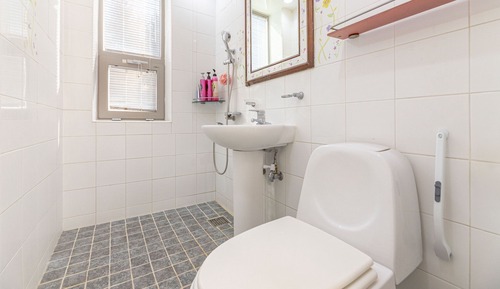 Basic Room, 1 Bedroom (lime)