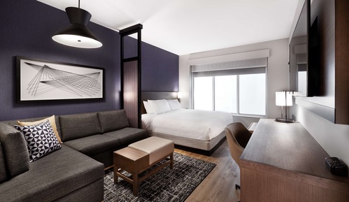 Room, 1 King Bed with Sofa bed