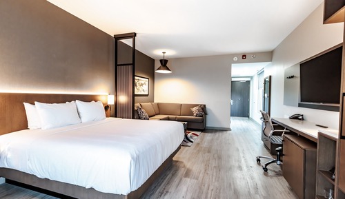 Room, 1 King Bed with Sofa bed, Accessible