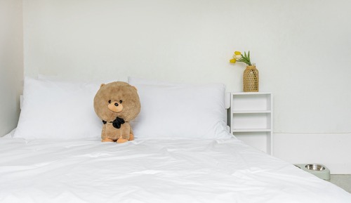 Basic Room, 2 Bedrooms (bowwow)