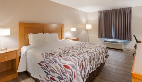 Deluxe Room, 1 King Bed, Non Smoking