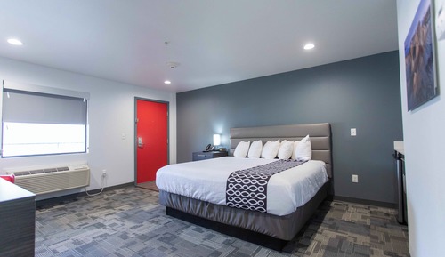 Standard Room, Roll-in Shower