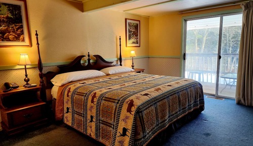 Economy Room, 1 King Bed, River View