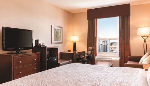 Room, 1 King Bed, Accessible, Non Smoking