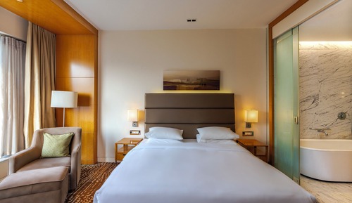 Room, 1 King Bed