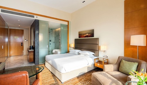 Club Room, 1 King Bed