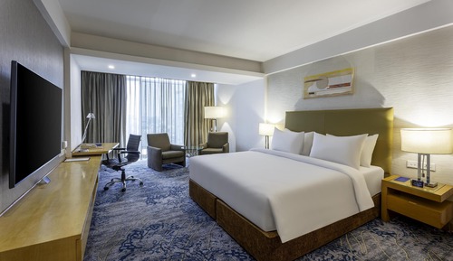 Business Room (Business Class)