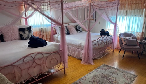 Deluxe Double or Twin Room