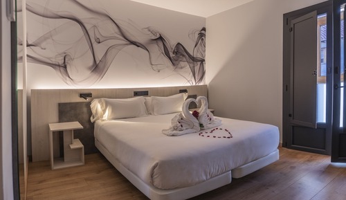 Superior Double or Twin Room (NERU Balcón)