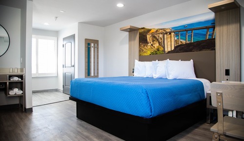 Single Room, 1 King Bed