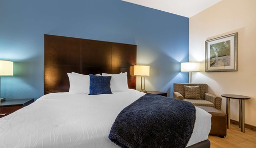 Standard Room, 1 King Bed, Non Smoking, Refrigerator & Microwave (Shower Only)