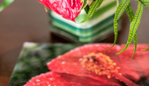 Hibiscus Suite