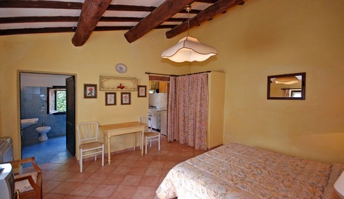 Standard Studio (Geraneo)