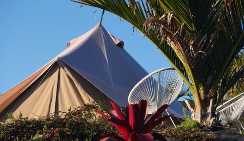 Nikau Teepee (Quadruple) Sea View