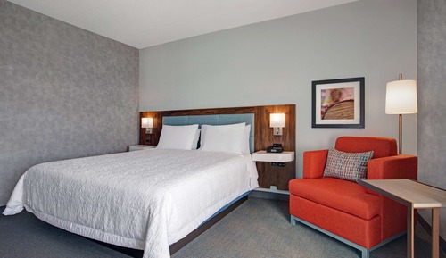 Room, 1 King Bed, Accessible (Mobility & Hearing, Roll-in Shower)